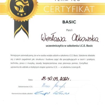 Certyfikat team icg basic